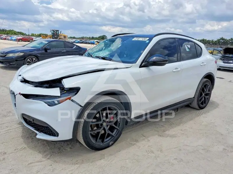 2019 Alfa Romeo Stelvio VIN: ZASPAKBN8K7C57893 из США - PLC Group
