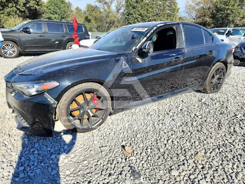 2019 Alfa Romeo Giulia фото