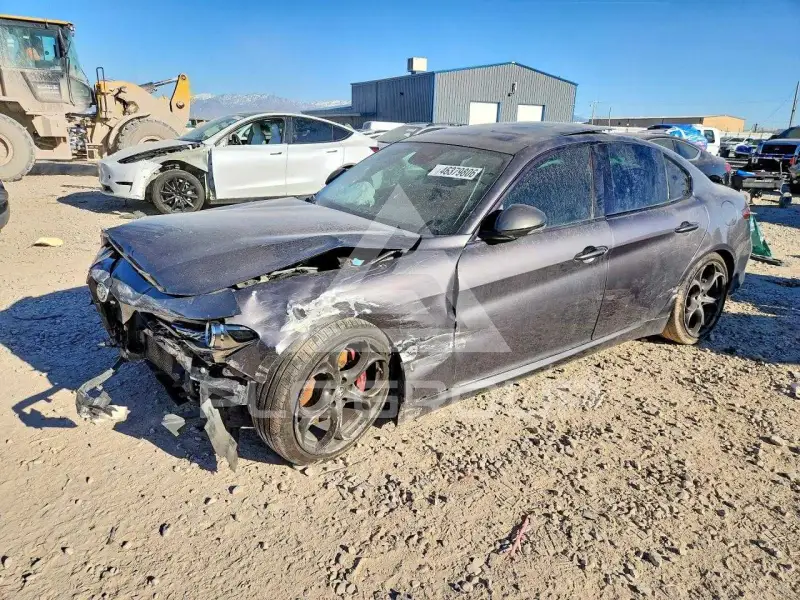 2019 Alfa Romeo Giulia фото