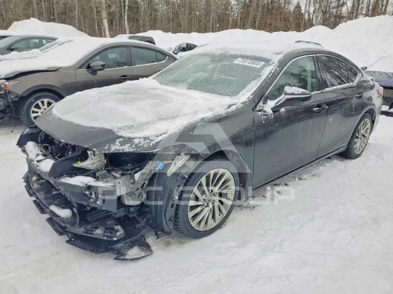 2019 Lexus ES300 photo