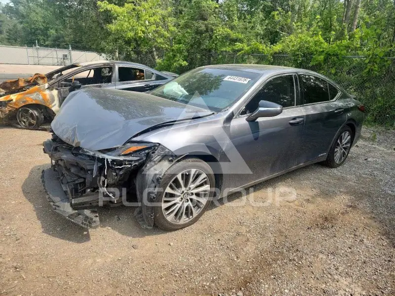 2019 Lexus ES300 photo