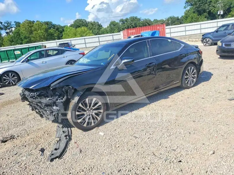 2019 Lexus ES300 photo