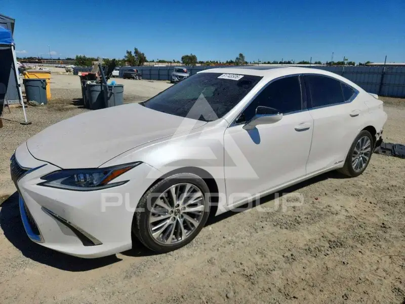 2019 Lexus ES300 фото