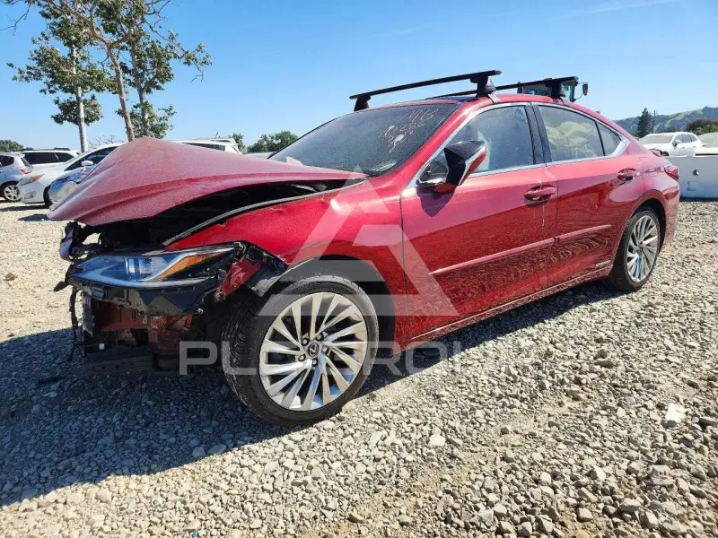 2019 Lexus ES300 фото