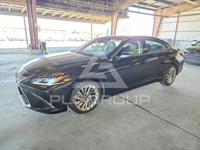 2019 Lexus ES300 photo