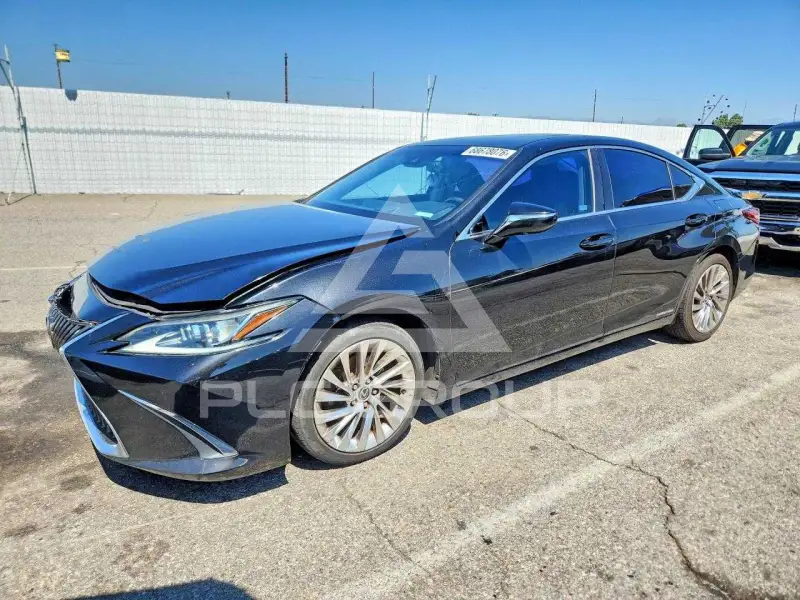 2019 Lexus ES300 photo