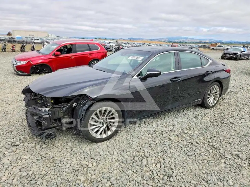 2019 Lexus ES300 photo