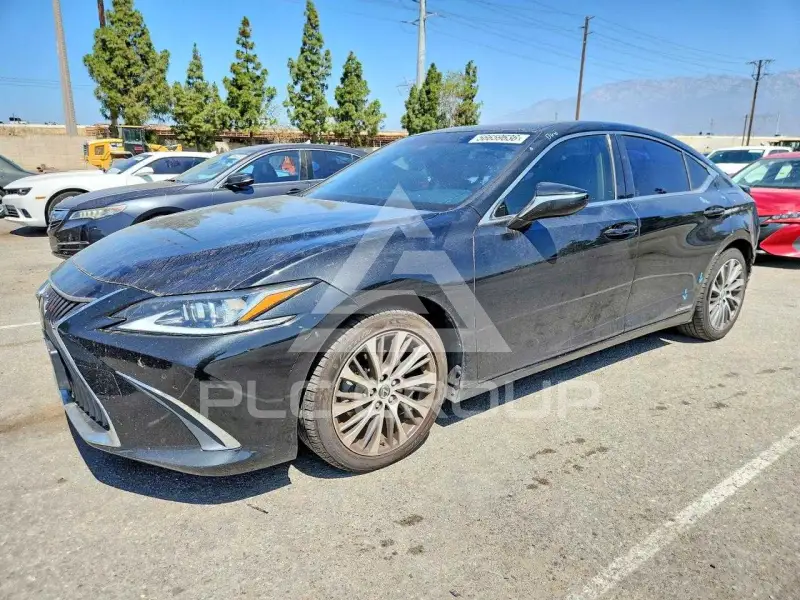 2019 Lexus ES300 фото