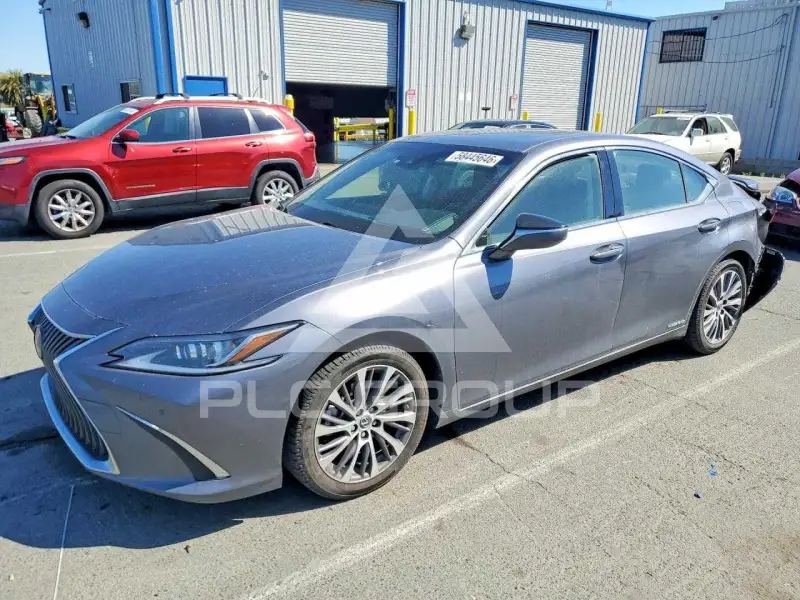 2019 Lexus ES300 photo