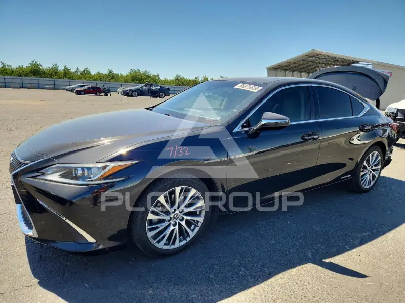 2019 Lexus ES300 photo