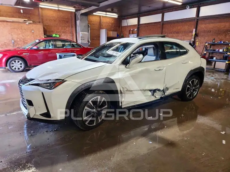 2019 Lexus Other photo