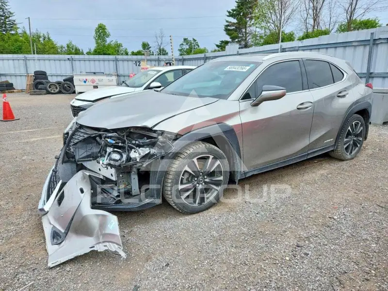 2019 Lexus UX фото