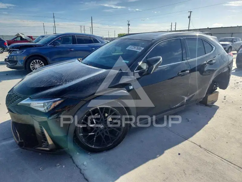 2019 Lexus UX200 photo