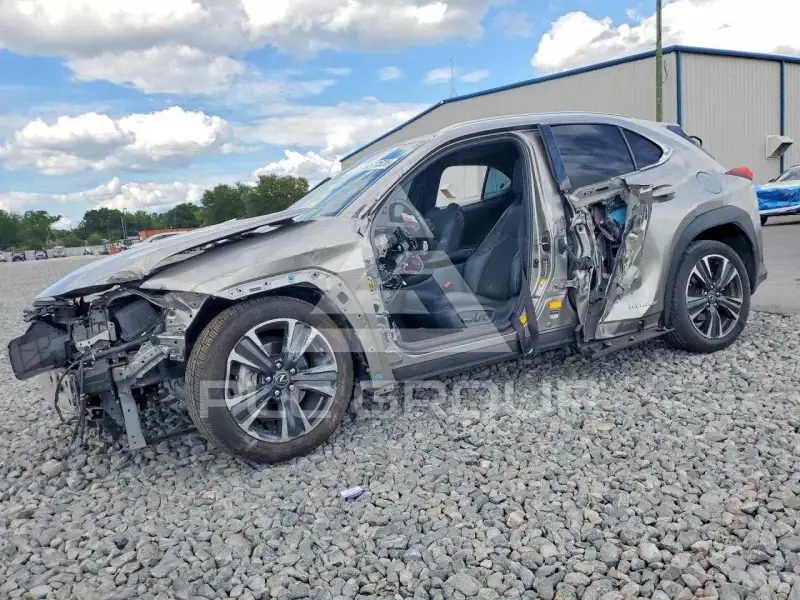 2019 Lexus Other фото