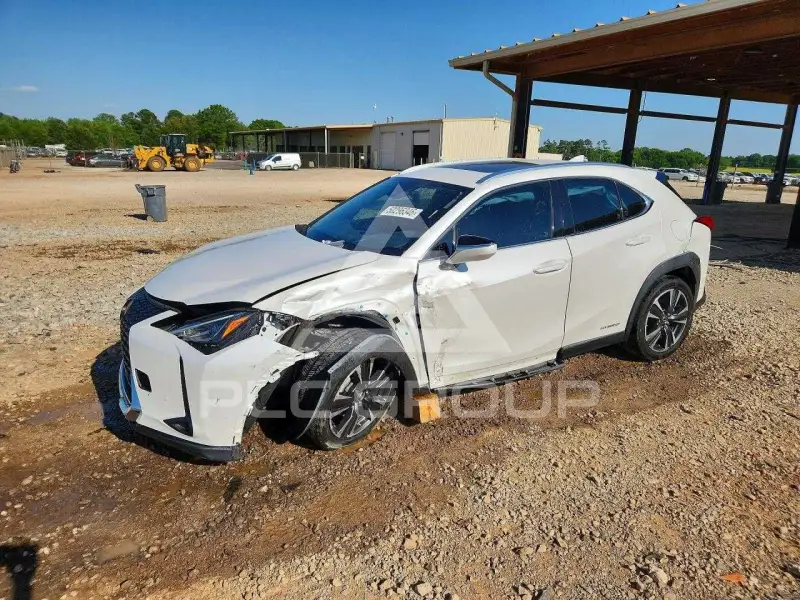 2019 Lexus Other фото