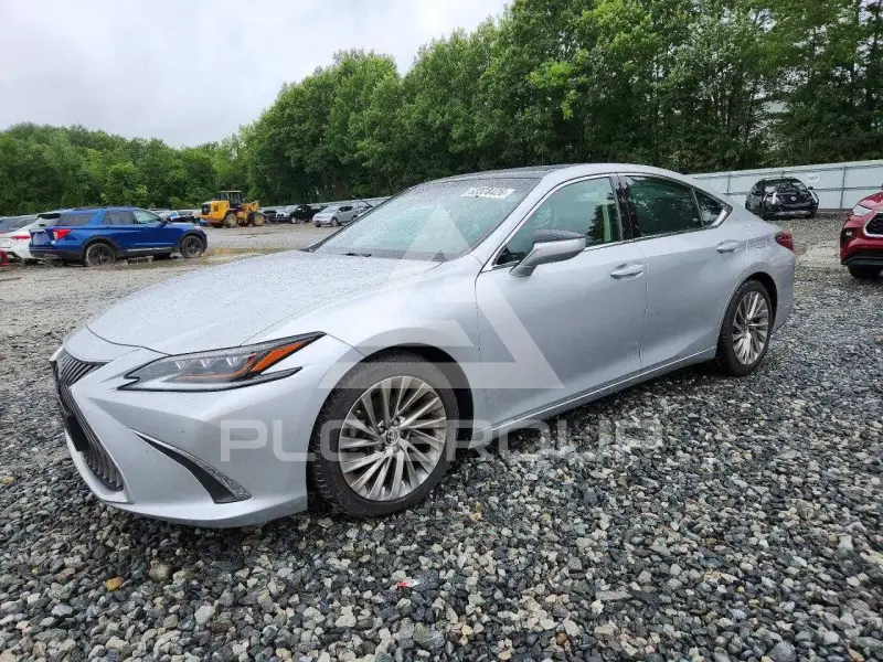 2019 Lexus ES350 фото