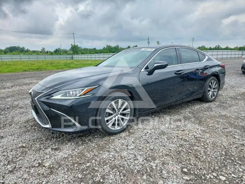 2019 Lexus ES350 фото