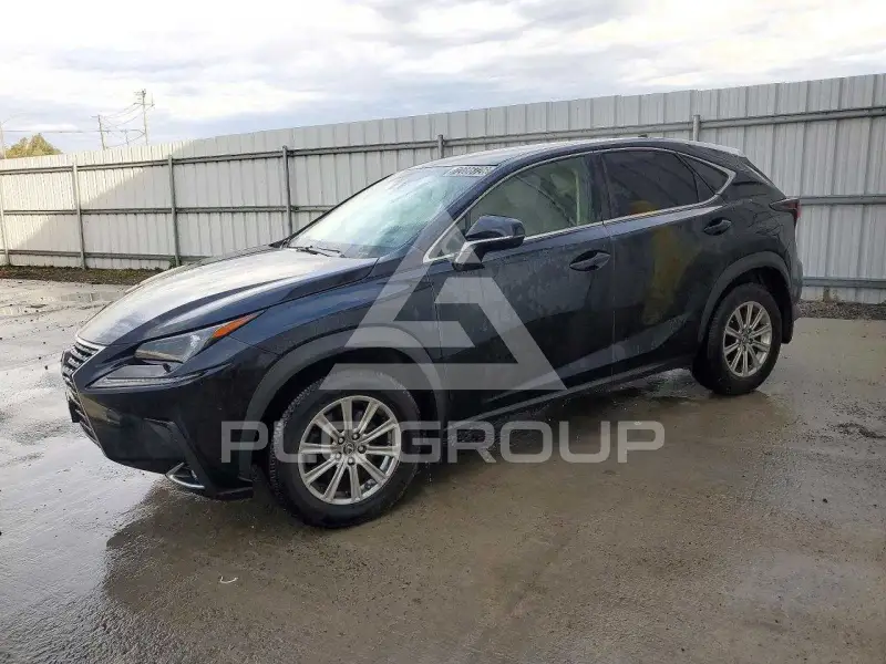2019 Lexus NX фото
