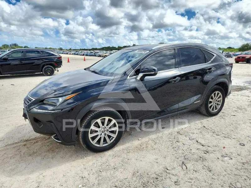 2019 Lexus NX photo