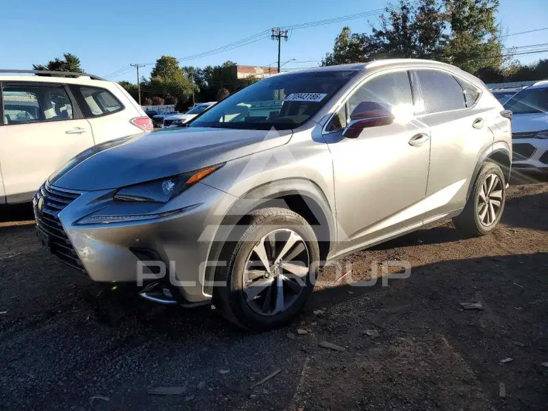 2019 Lexus NX фото