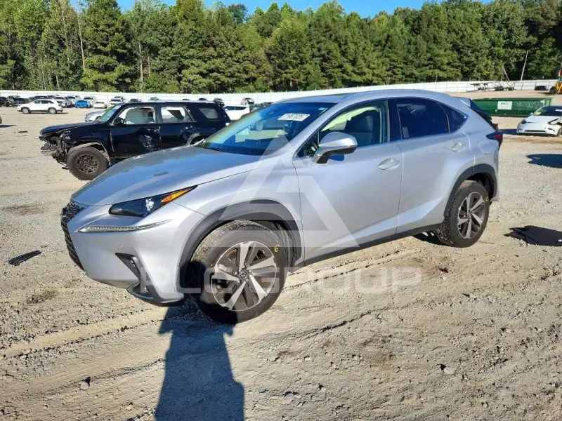 2019 Lexus NX фото