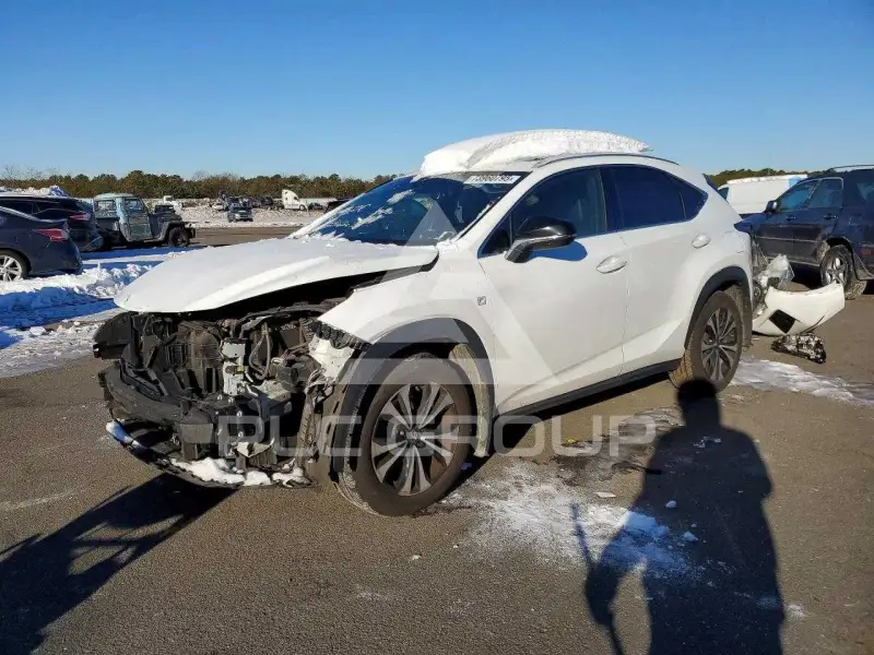 2019 Lexus NX фото