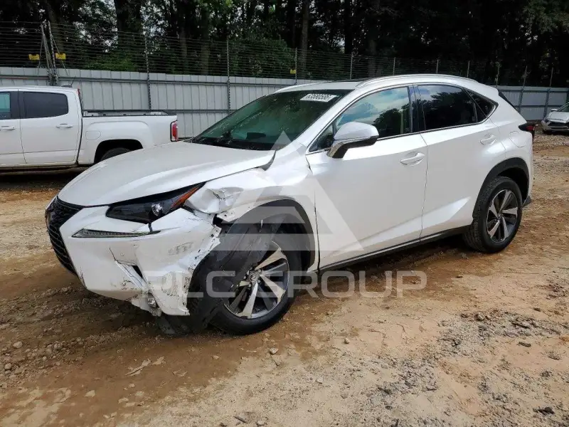 2019 Lexus NX фото