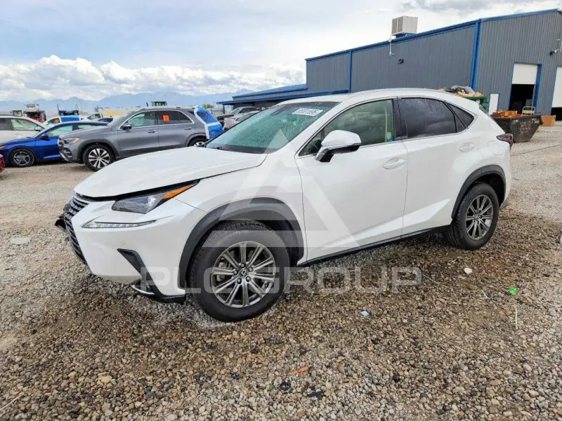 2019 Lexus NX фото