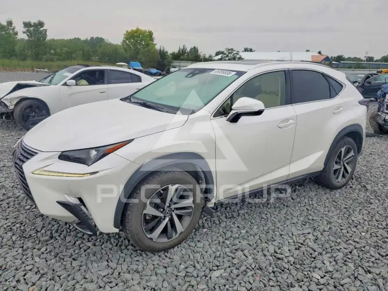 2019 Lexus NX фото
