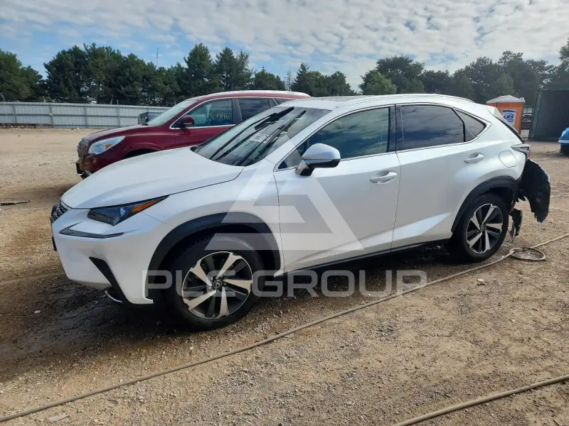 2019 Lexus NX фото