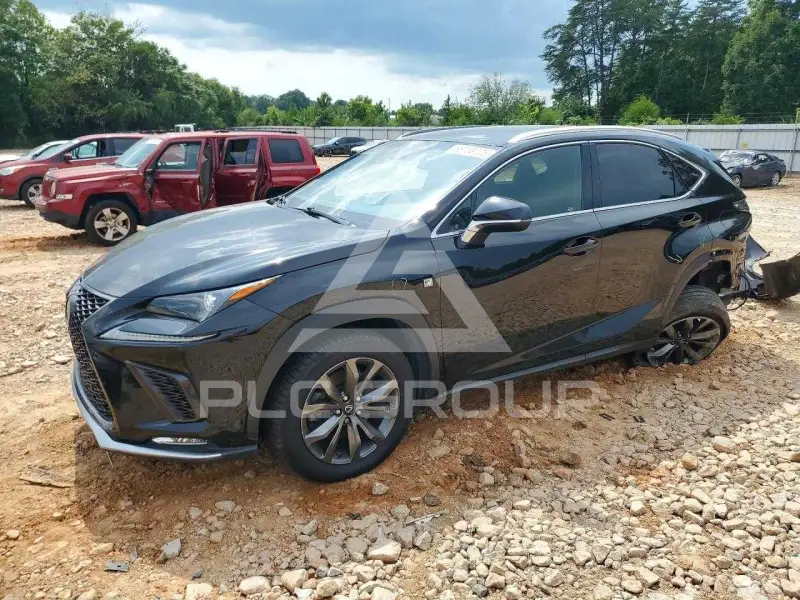 2019 Lexus NX фото