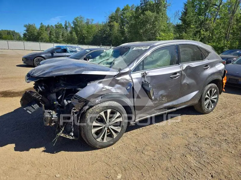 2019 Lexus NX фото