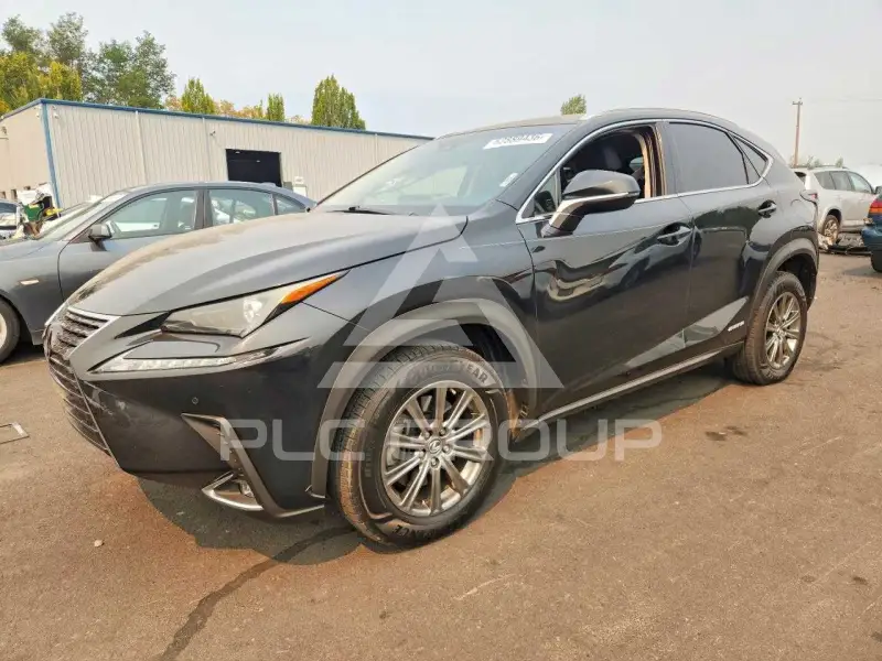 2019 Lexus NX фото