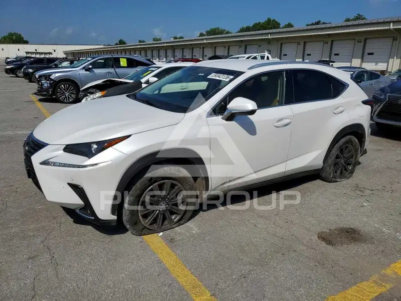 2019 Lexus NX фото