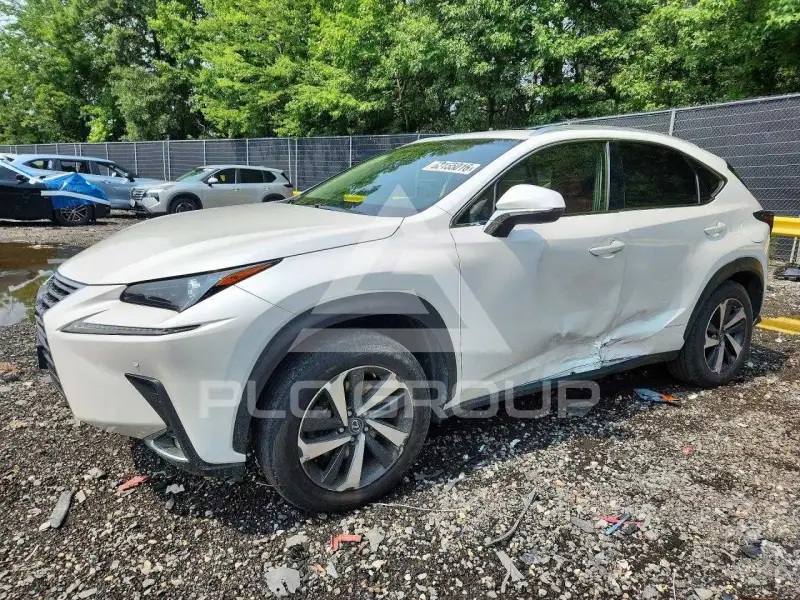 2019 Lexus NX photo