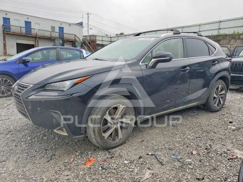 2019 Lexus NX фото