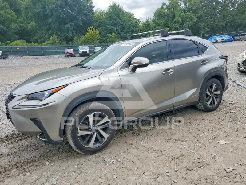 2019 Lexus NX фото