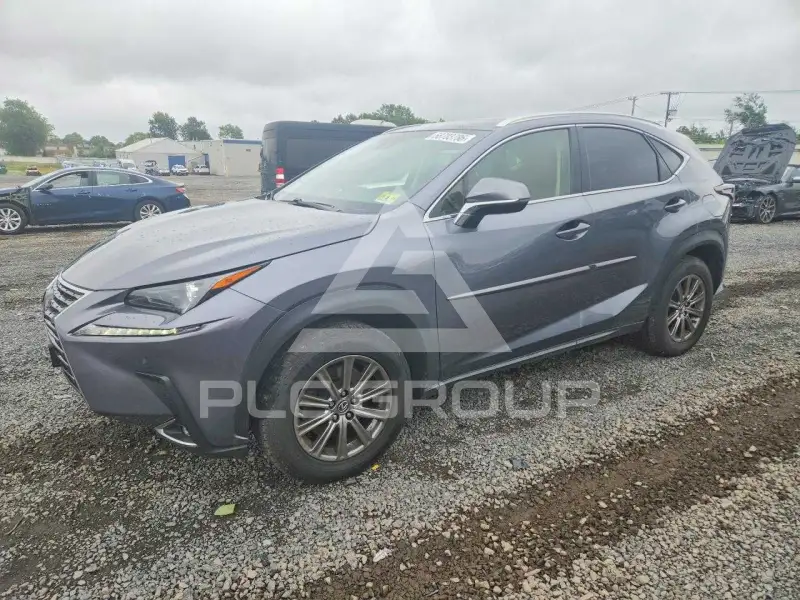 2019 Lexus NX фото
