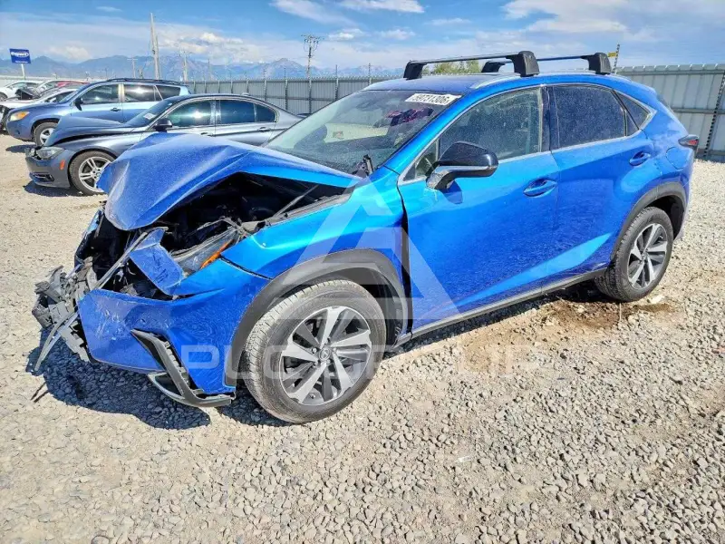 2019 Lexus NX photo