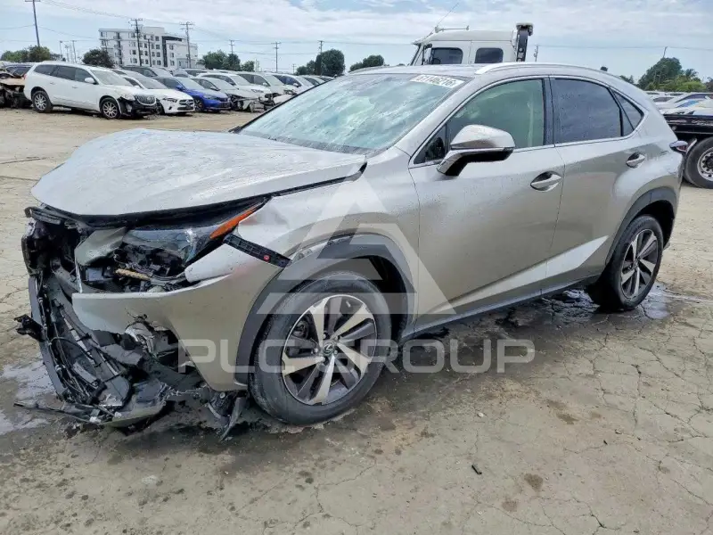 2019 Lexus NX фото