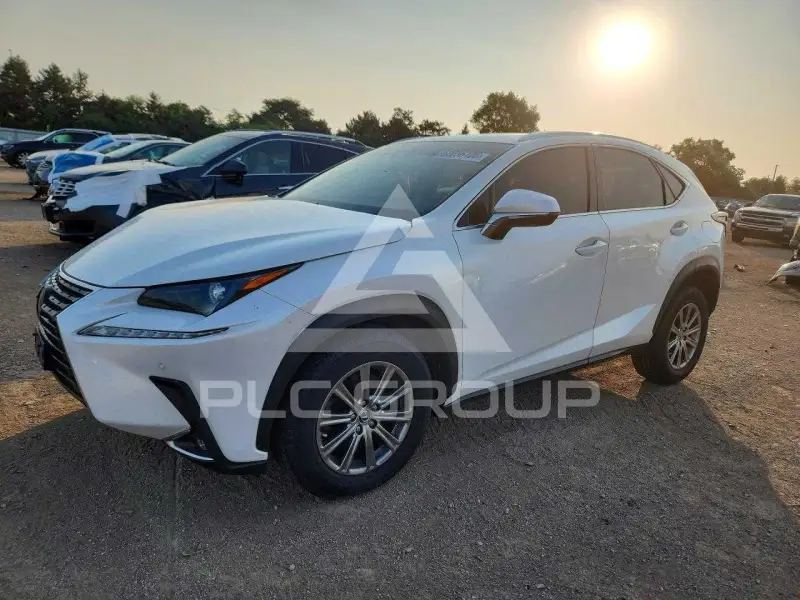 2019 Lexus NX photo