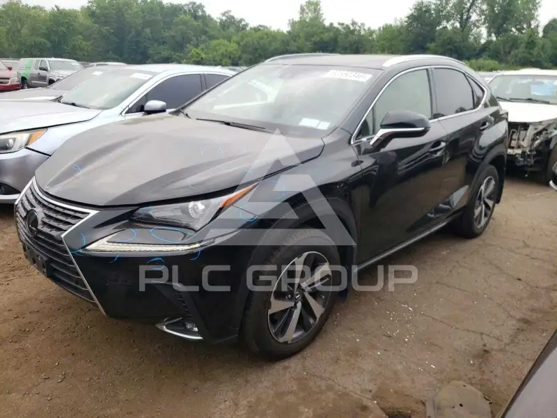 2019 Lexus NX photo