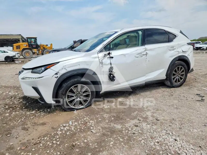 2019 Lexus NX photo