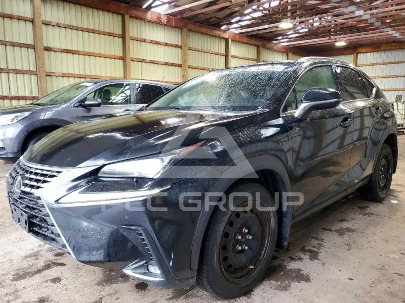 2019 Lexus NX фото