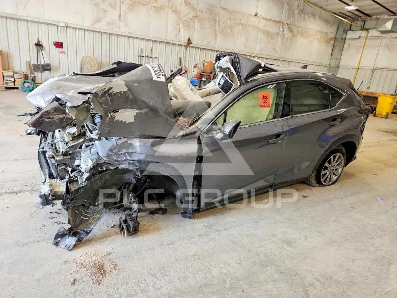 2019 Lexus NX фото
