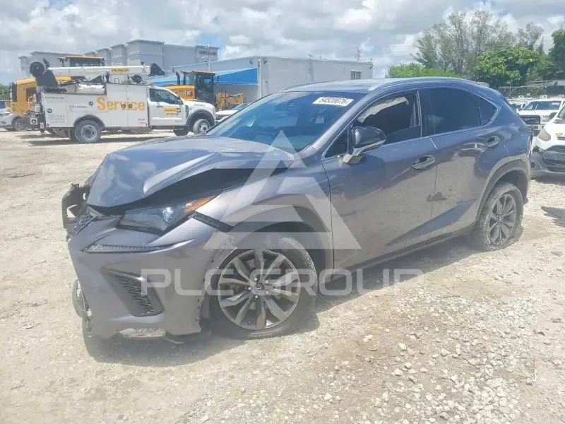 2019 Lexus NX фото