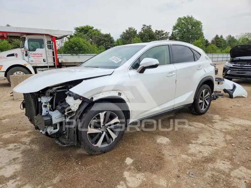 2019 Lexus NX фото