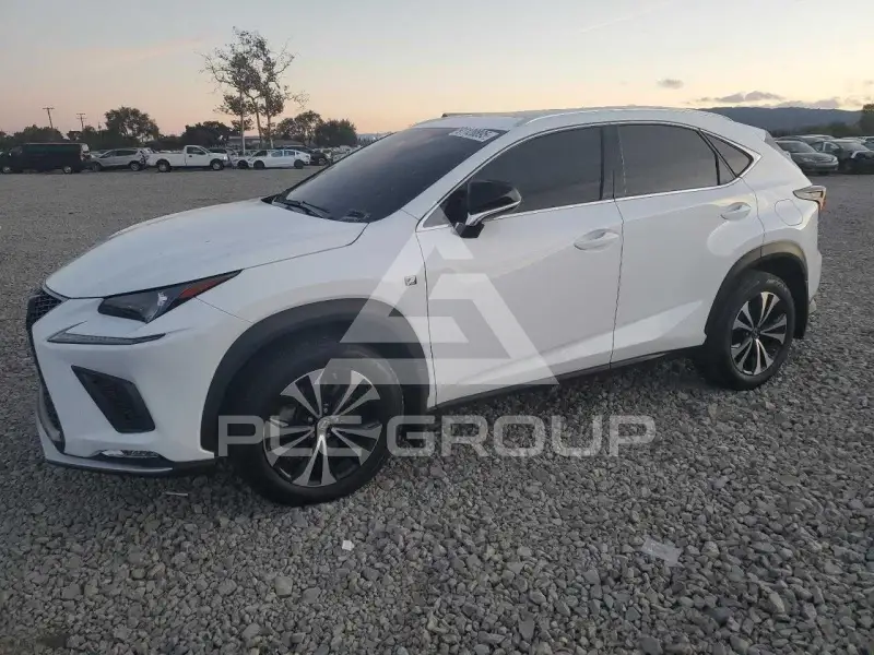 2019 Lexus NX фото