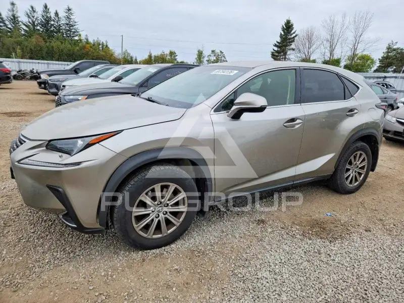 2019 Lexus NX фото