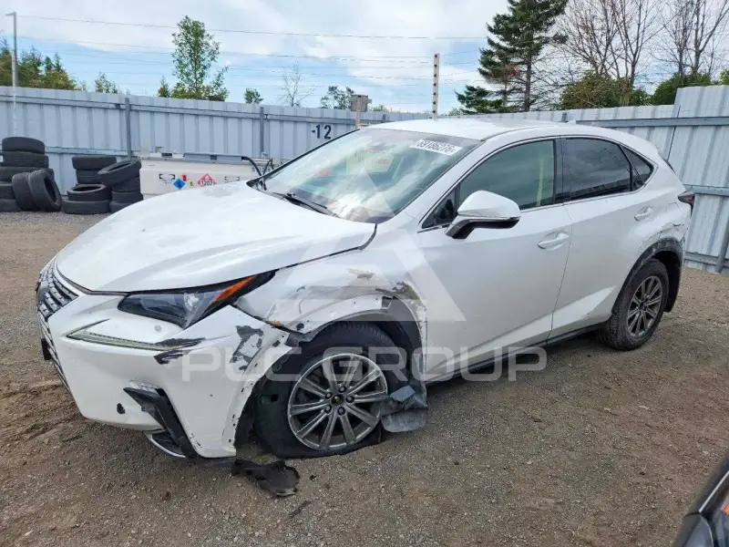 2019 Lexus NX фото